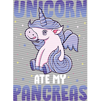 Rainbow Horse-RH 658